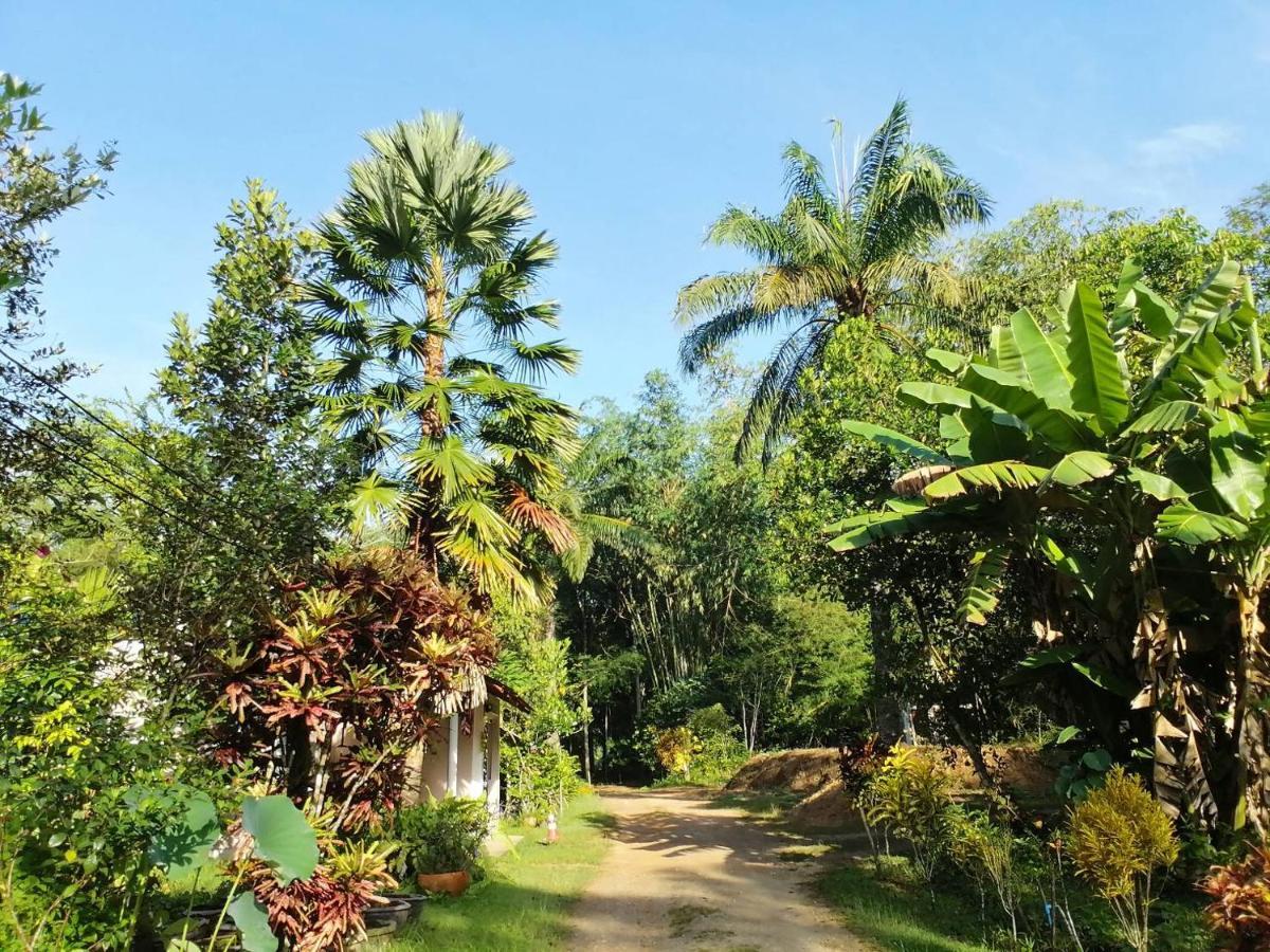 Suan Bang Bon Guest House Plai Phraya Εξωτερικό φωτογραφία