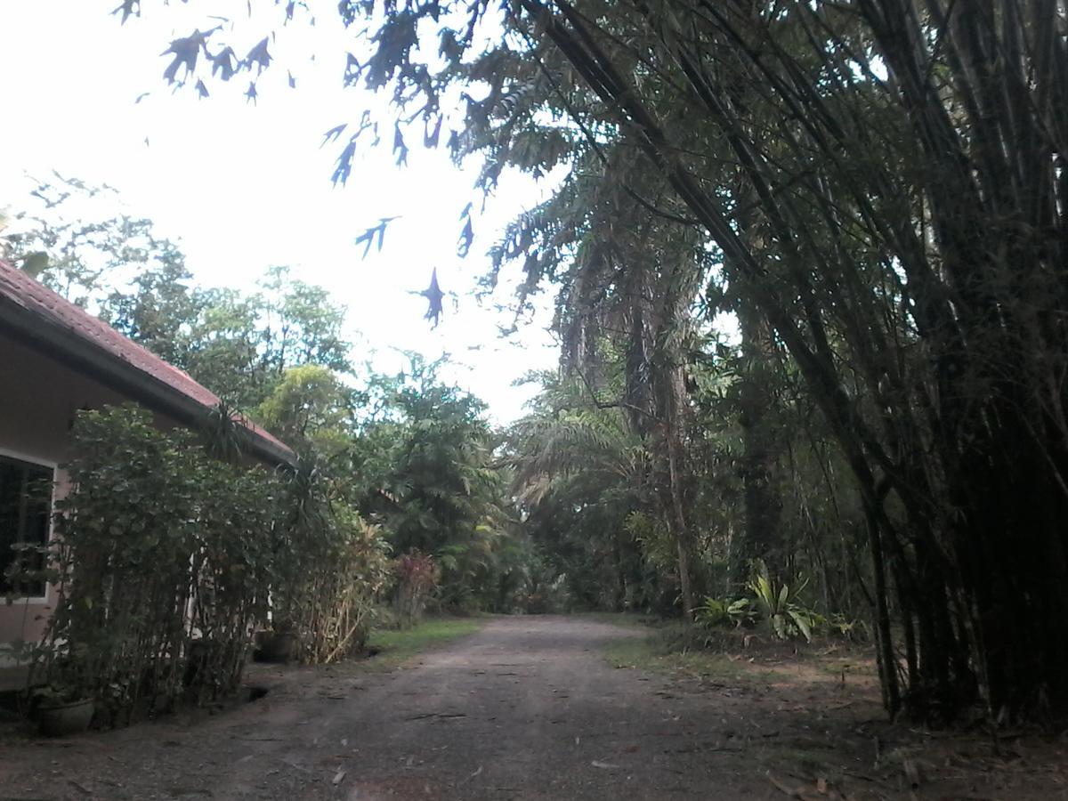 Suan Bang Bon Guest House Plai Phraya Εξωτερικό φωτογραφία