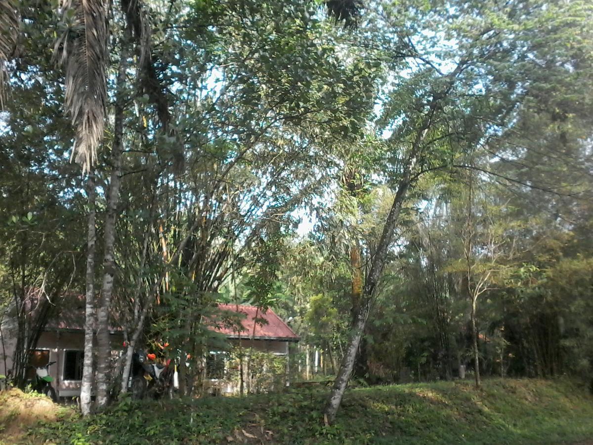 Suan Bang Bon Guest House Plai Phraya Εξωτερικό φωτογραφία