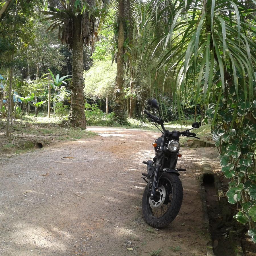 Suan Bang Bon Guest House Plai Phraya Εξωτερικό φωτογραφία