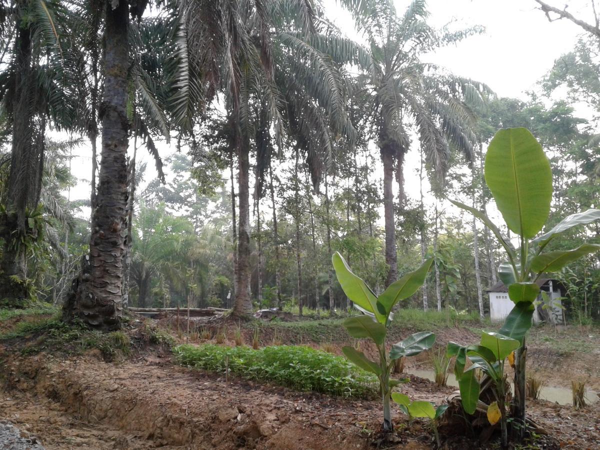 Suan Bang Bon Guest House Plai Phraya Εξωτερικό φωτογραφία