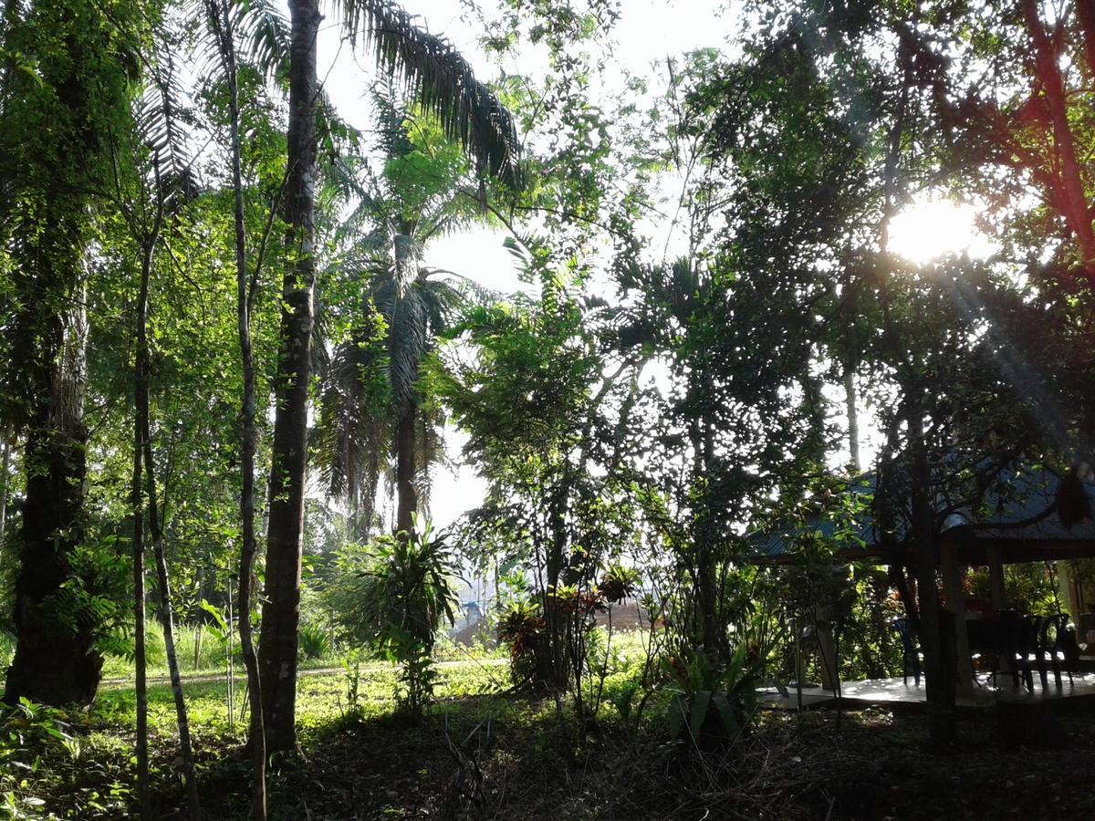 Suan Bang Bon Guest House Plai Phraya Εξωτερικό φωτογραφία